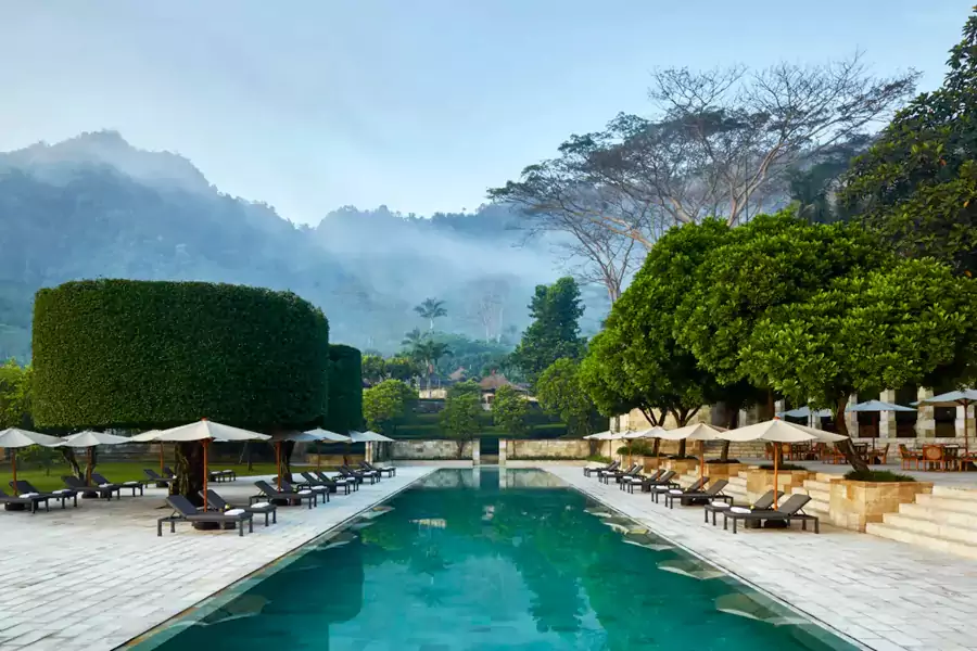 清晨在莲花池边练一场瑜伽 清晨在莲花池边练一场瑜伽