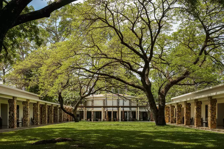 極簡主義的設計與熱帶雨林的繁茂相得益彰 極簡主義的設計與熱帶雨林的繁茂相得益彰