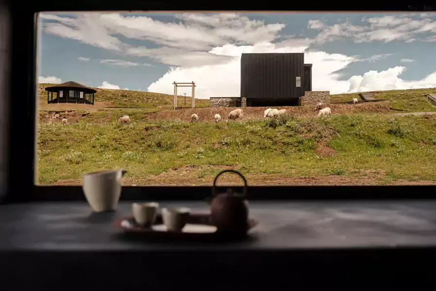 看云影在草甸上慢慢移动 看云影在草甸上慢慢移动