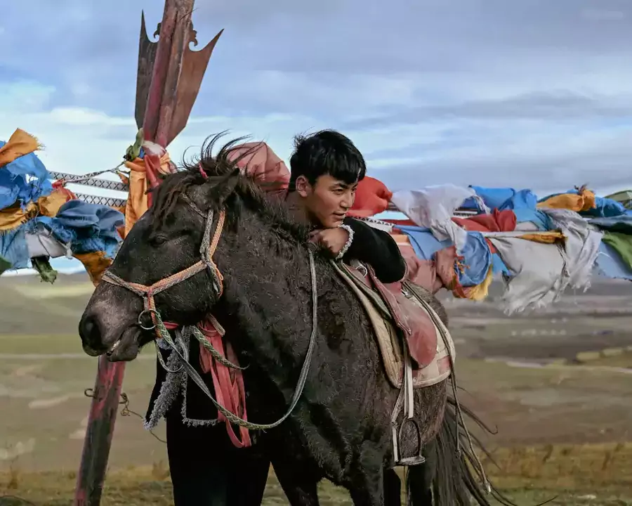 广阔草原扑面而来,说不定能遇见牧民赶着羊群从门前经过 广阔草原扑面而来,说不定能遇见牧民赶着羊群从门前经过