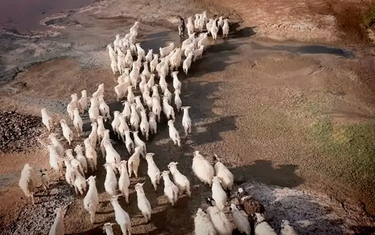 音德日圖鹹水湖的湖心 音德日圖鹹水湖的湖心