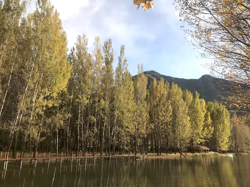 秋日的百里山水畫廊