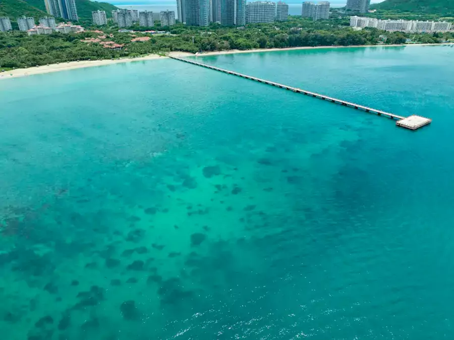 交通的便捷让这场度假更无顾虑