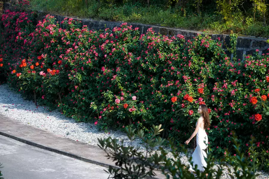 周邊的美好同樣不容錯過 周邊的美好同樣不容錯過