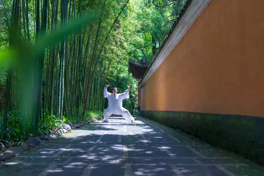 与有着 1600 年历史的温泉寺相依相伴 与有着 1600 年历史的温泉寺相依相伴