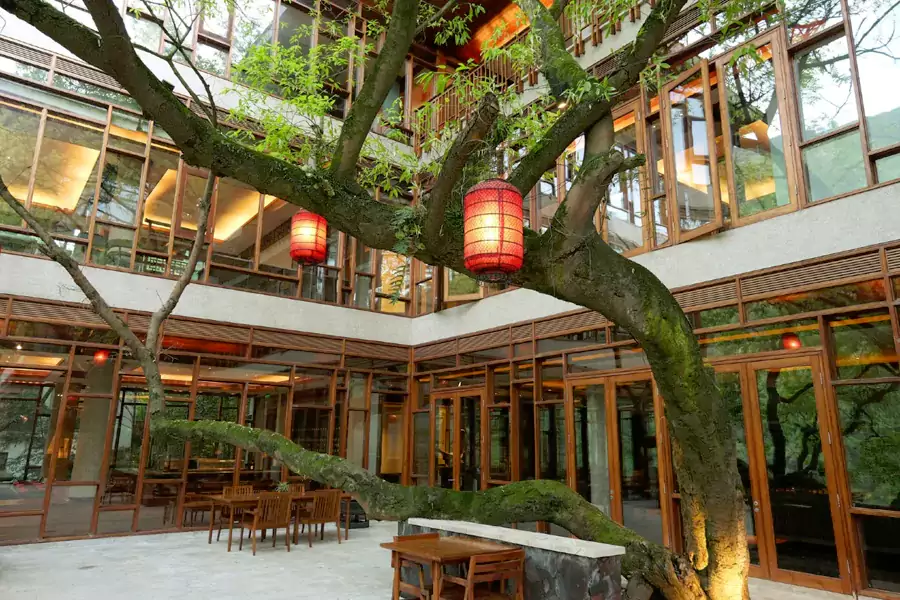 在这里,度假不止于躺平 在这里,度假不止于躺平