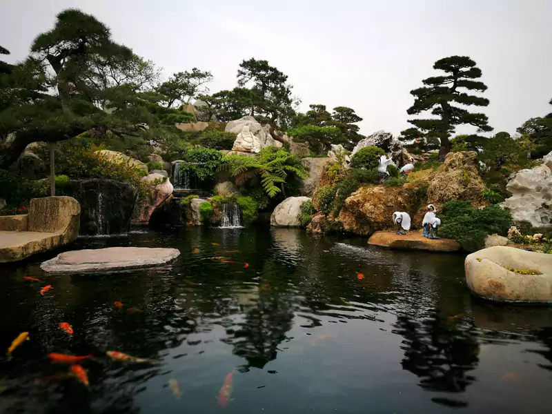 陈村花卉世界 陈村花卉世界