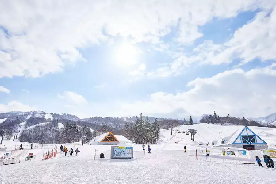 為了安全,喜樂樂還專門做了野外滑雪區域的門戶系統 為了安全,喜樂樂還專門做了野外滑雪區域的門戶系統