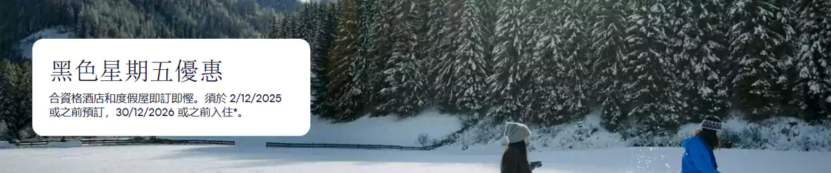 Expedia 黑色星期五 2025