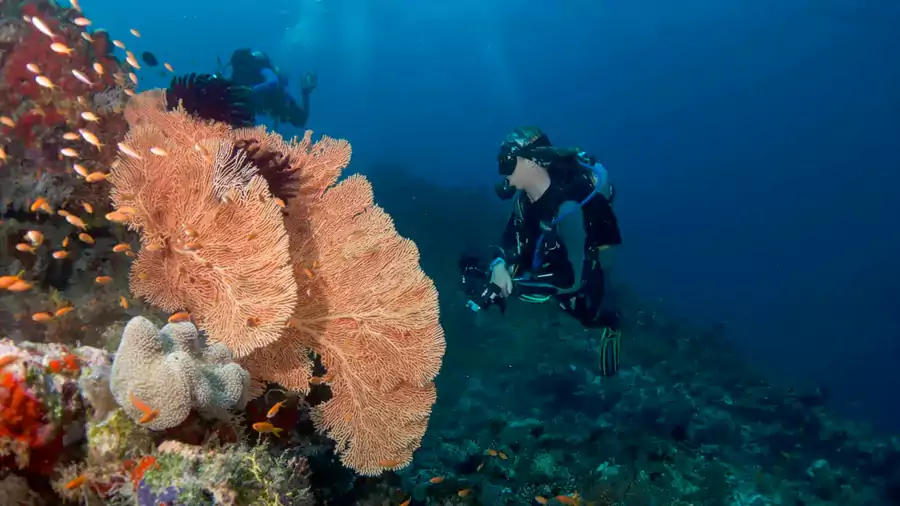 大四季島的玩法覆蓋全年齡段