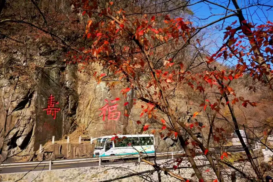 公路两侧的枫树几乎遮蔽了天空