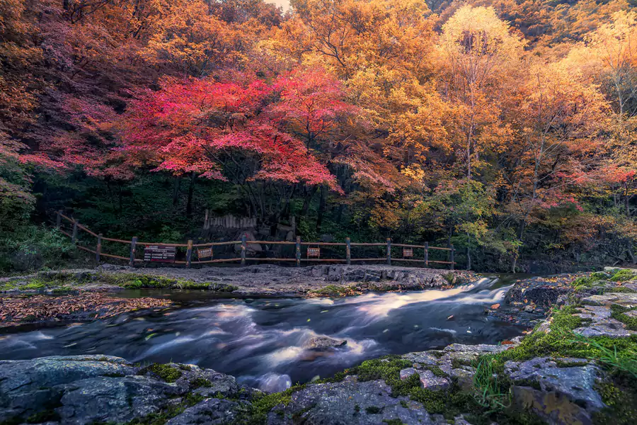 关门山国家森林公园