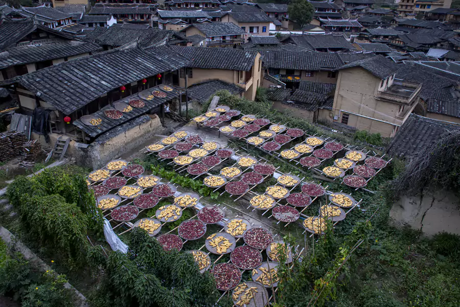 踏入古村，腳下是磨損的古道，身旁是古樸的書齋