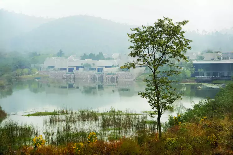 江蘇南京香樟華蘋酒店 江蘇南京香樟華蘋酒店