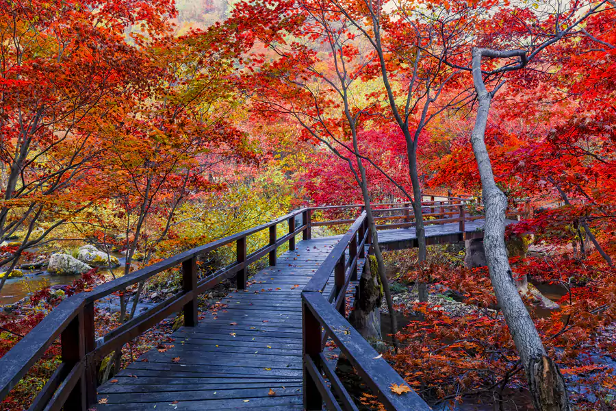 游览体验格外友好