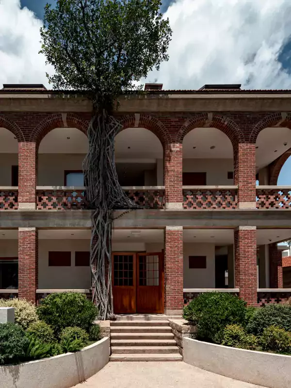 悉心留存了牆沿屋頂唯一存活的一脈榕藤