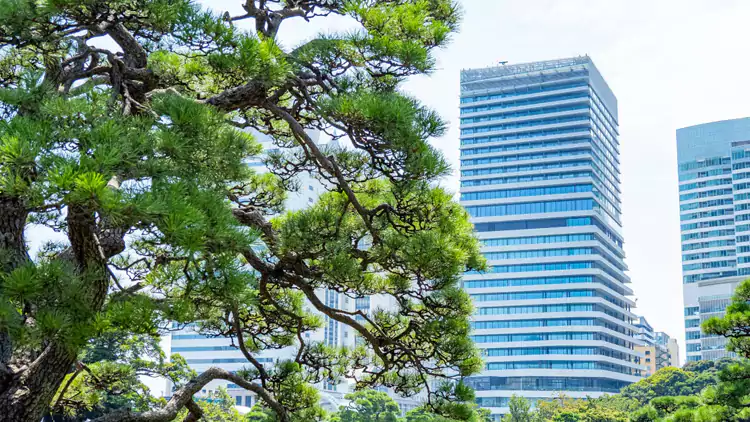 萬豪酒店東京 Mesm 傲途格精選 Mesm Tokyo, Autograph Collection 萬豪酒店東京 Mesm 傲途格精選 Mesm Tokyo, Autograph Collection