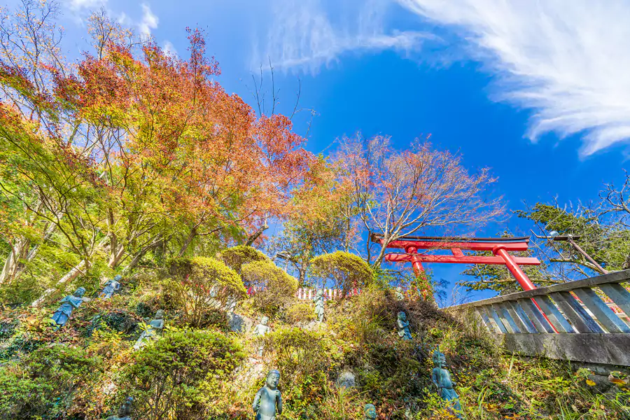 高尾山的魅力在于多样的探索方式，6 条徒步路线各有特色