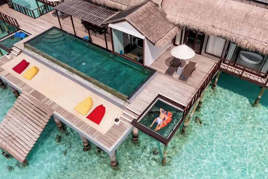 纯粹的放松与极致的享受 纯粹的放松与极致的享受