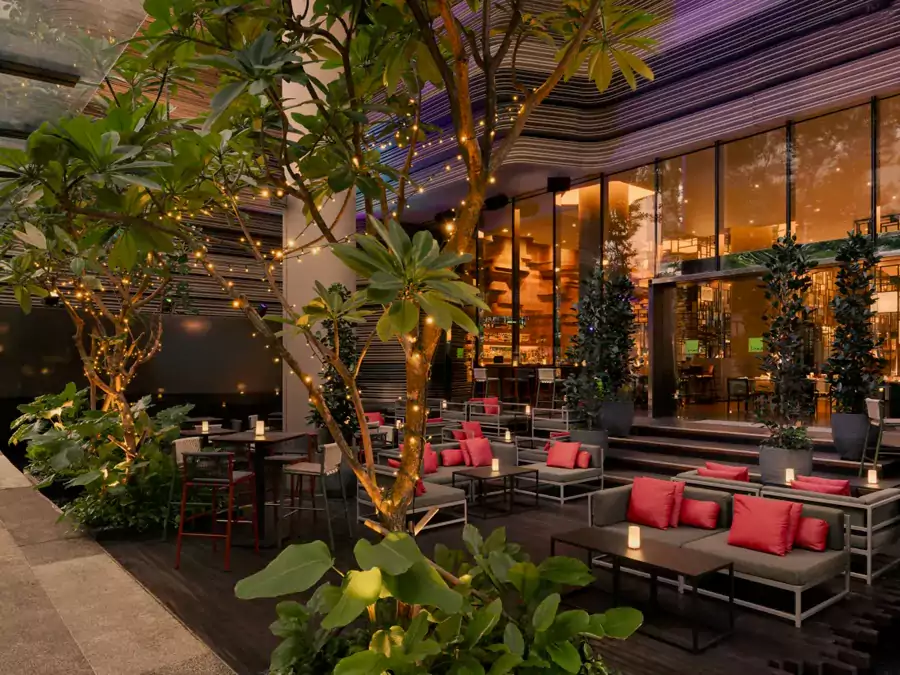 在露台俯瞰城市灯火