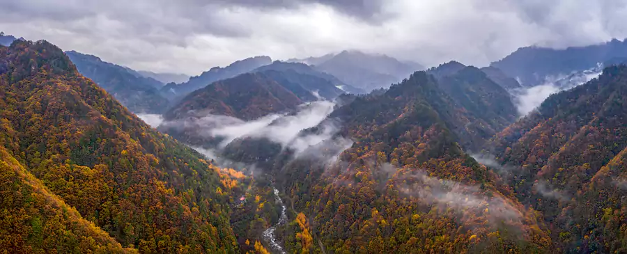 秦嶺風景區 秦嶺風景區