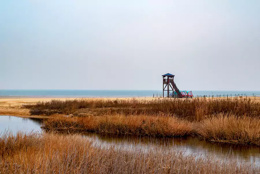 海濱森林公園 海濱森林公園