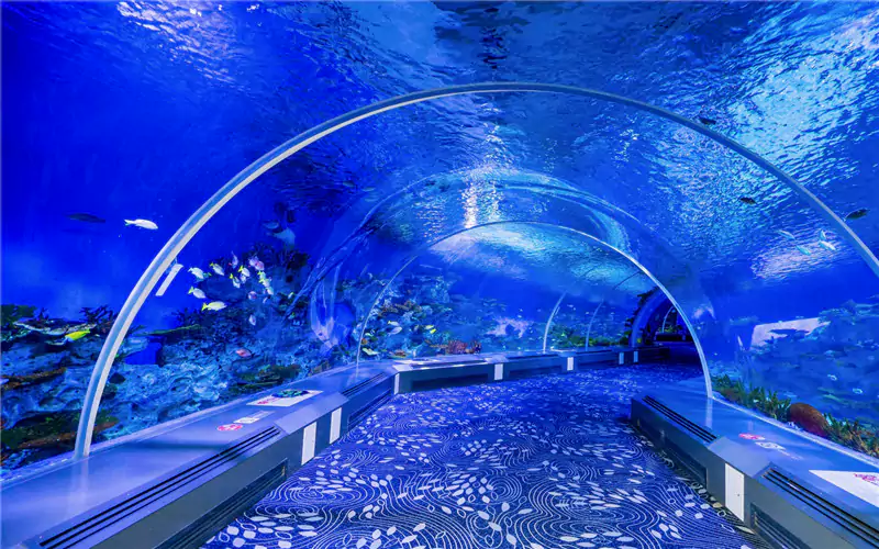 日照海洋公園 日照海洋公園