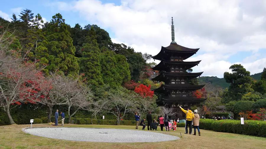 秋枫掩映下静谧深邃 秋枫掩映下静谧深邃