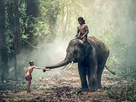 南亚旅游攻略，南亚自由行