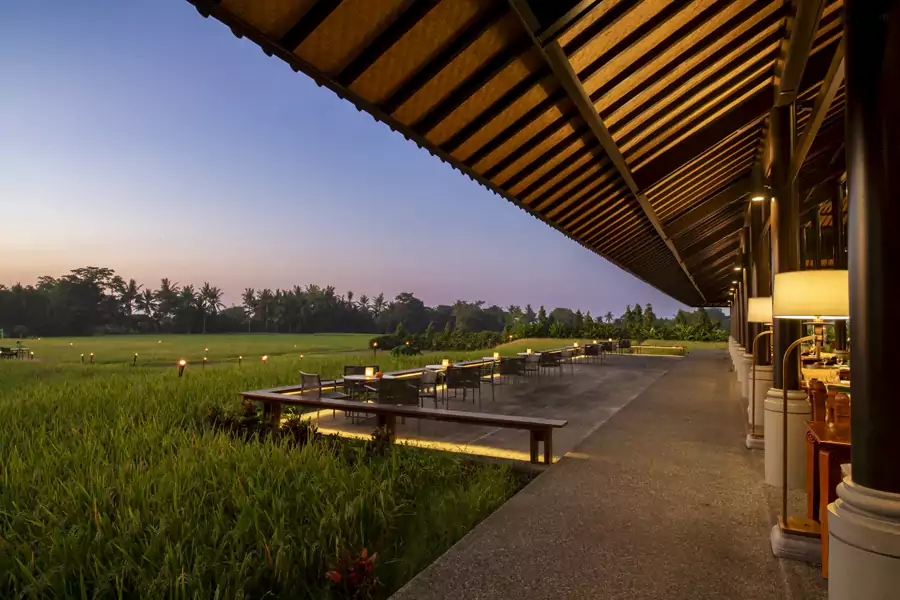 無邊稻田餐廳裡的星光晚餐更是浪漫滿分