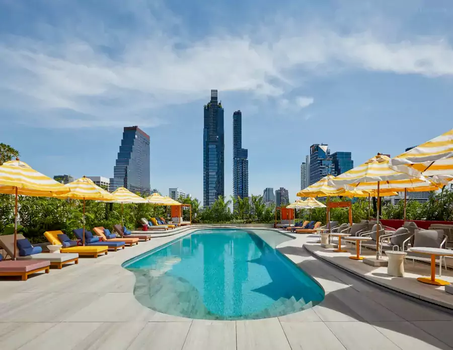 高空户外泳池被高大的棕榈树和热带植物环绕