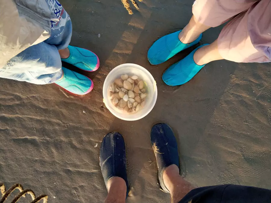 萬寶趕海園 萬寶趕海園