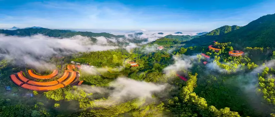 雁南飛茶田景區