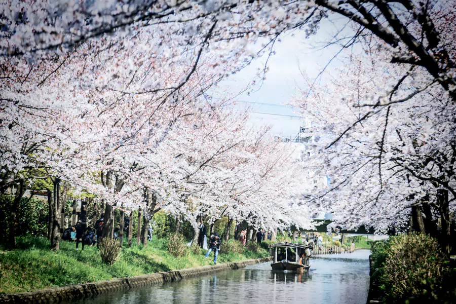 伏見十石舟 伏見十石舟