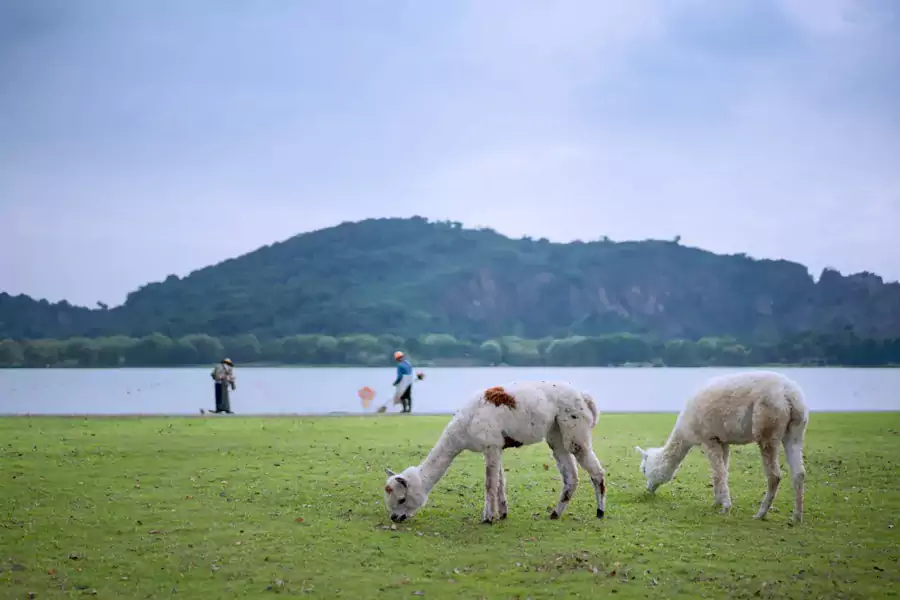 在这里的时光，是慢下来的诗意
