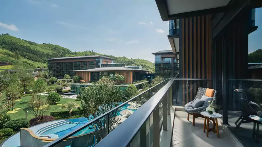 坐在陽臺上看陽光透過枝葉 坐在陽臺上看陽光透過枝葉