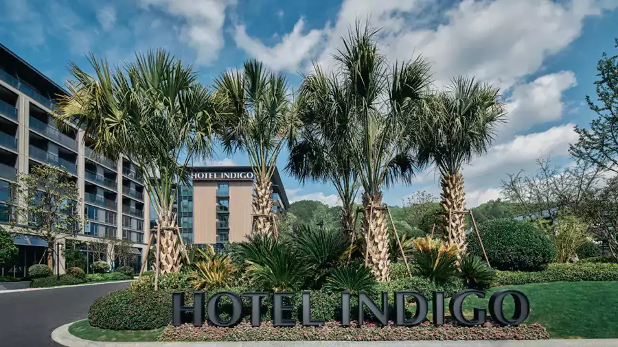 住進天目山英迪格,就是把家搬到了森林裡 住進天目山英迪格,就是把家搬到了森林裡