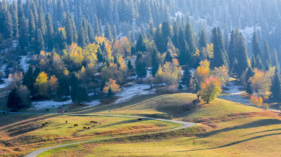 那拉提旅游风景区