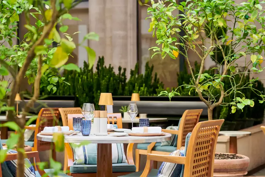 La Cheminee 是不二之选 La Cheminee 是不二之选