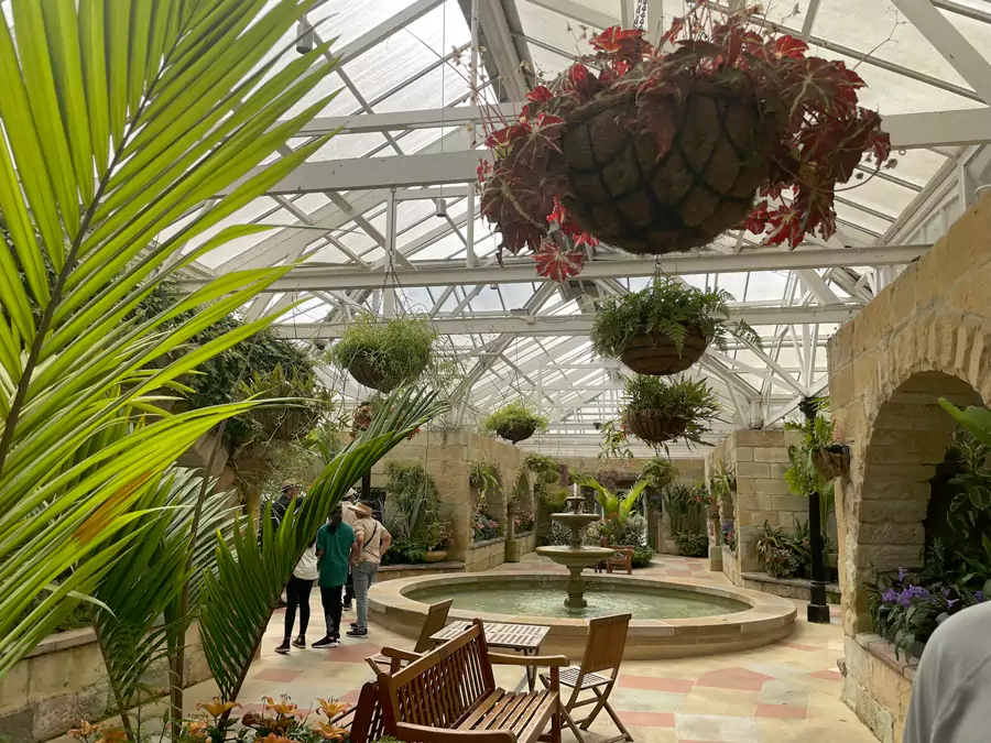 塔斯马尼亚皇家植物园