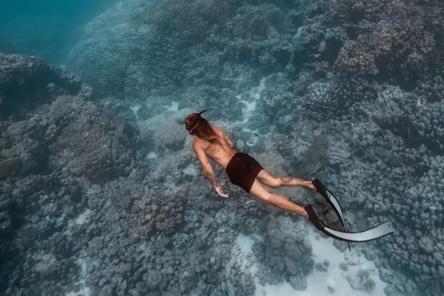這片海域的珍貴之處,在於其擁有世界第四大堡礁系統 這片海域的珍貴之處,在於其擁有世界第四大堡礁系統