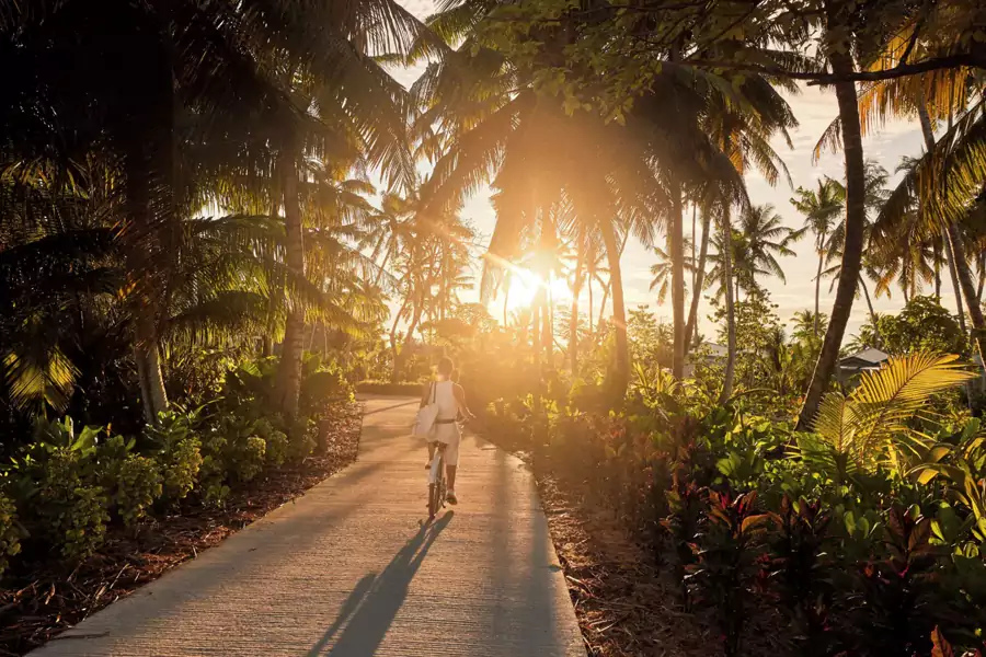 海島還是異鳥與座頭鯨的棲息地 海島還是異鳥與座頭鯨的棲息地