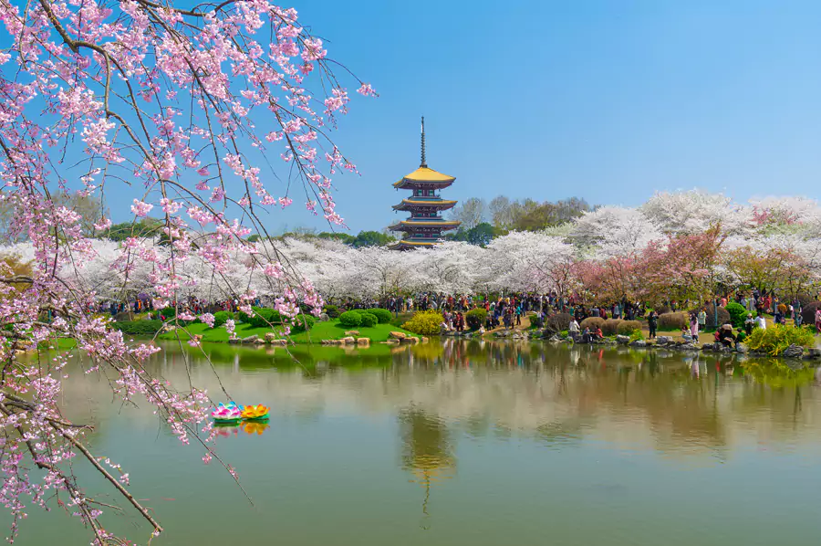 武漢東湖 武漢東湖