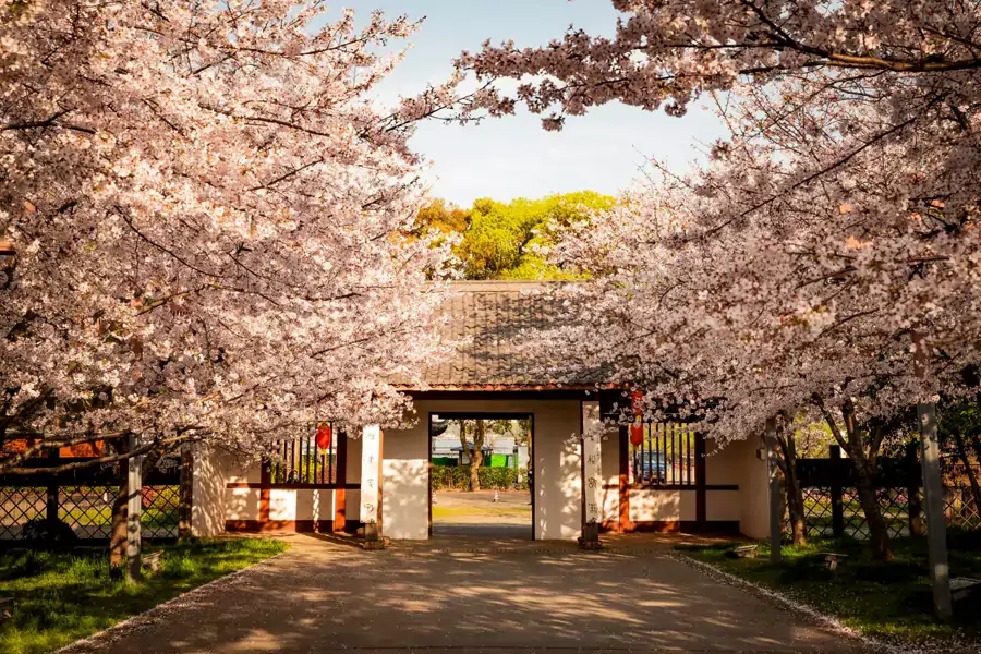 吃饱喝足,便可轻松玩转景区 吃饱喝足,便可轻松玩转景区