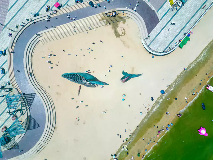 金沙滩海滨公园